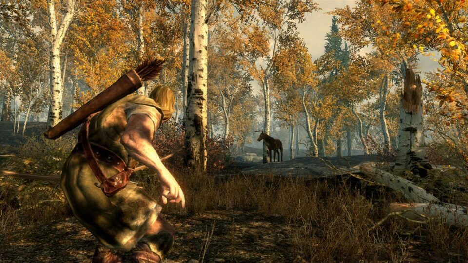 اسکرین‌شات 4 — دانلود بازی The Elder Scrolls V Skyrim برای PC