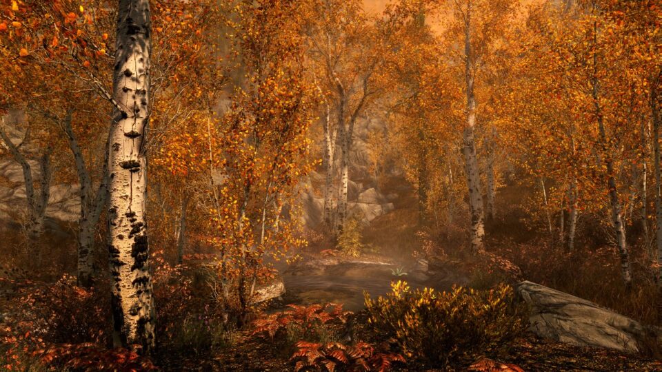 اسکرین‌شات 3 — دانلود بازی The Elder Scrolls V Skyrim Special Edition برای PC