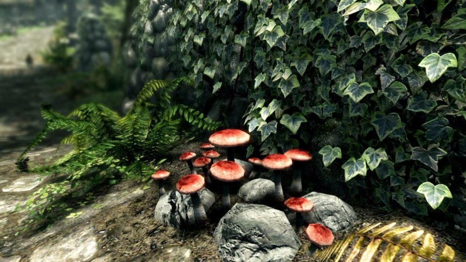 اسکرین‌شات 6 — دانلود بازی The Elder Scrolls V Skyrim Special Edition برای PC