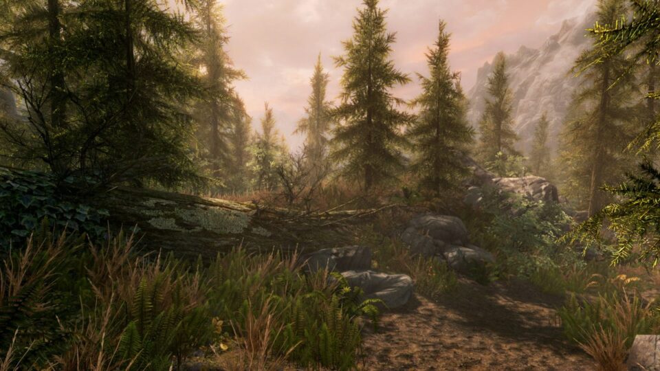 اسکرین‌شات 7 — دانلود بازی The Elder Scrolls V Skyrim Special Edition برای PC