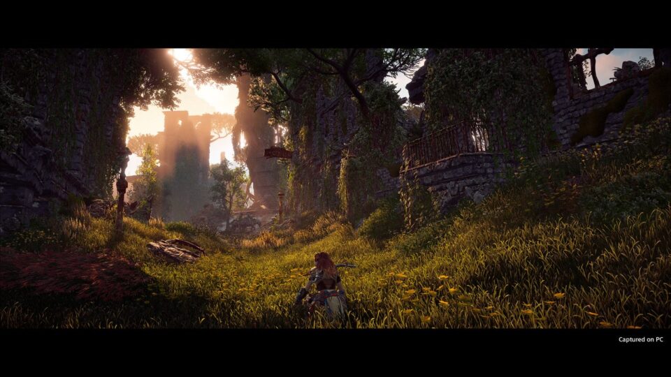 اسکرین‌شات 5 — دانلود بازی Horizon Zero Dawn برای PC