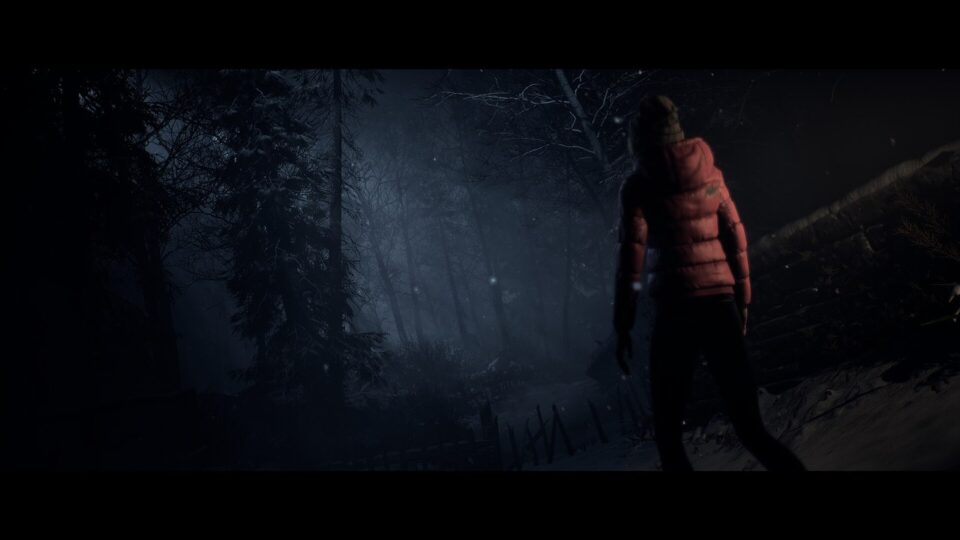 اسکرین‌شات 8 — دانلود بازی Until Dawn برای PC