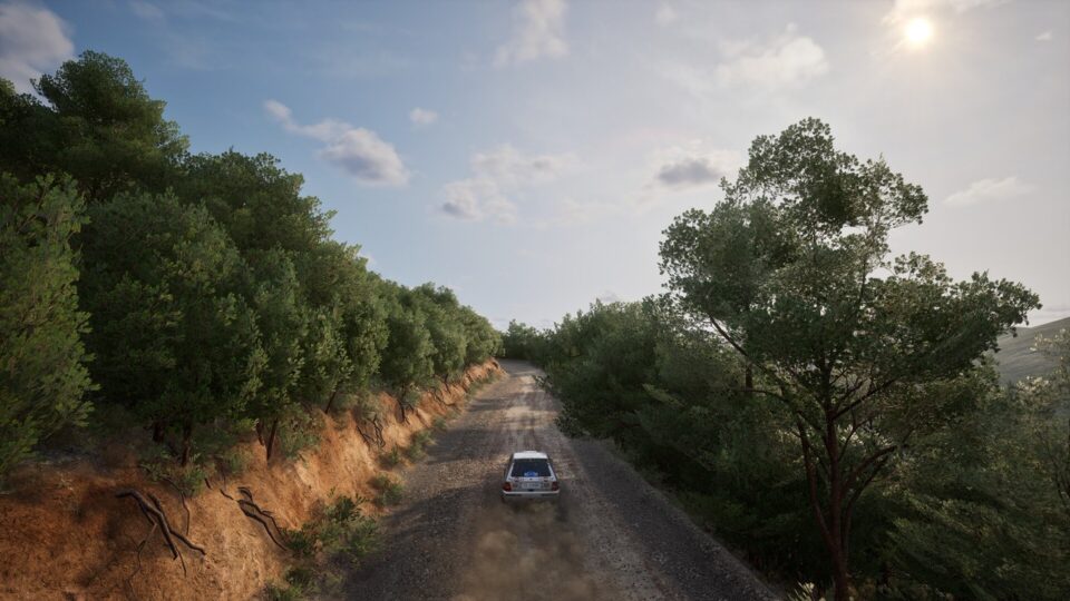 اسکرین‌شات 8 — دانلود بازی Assetto Corsa Rally برای PC